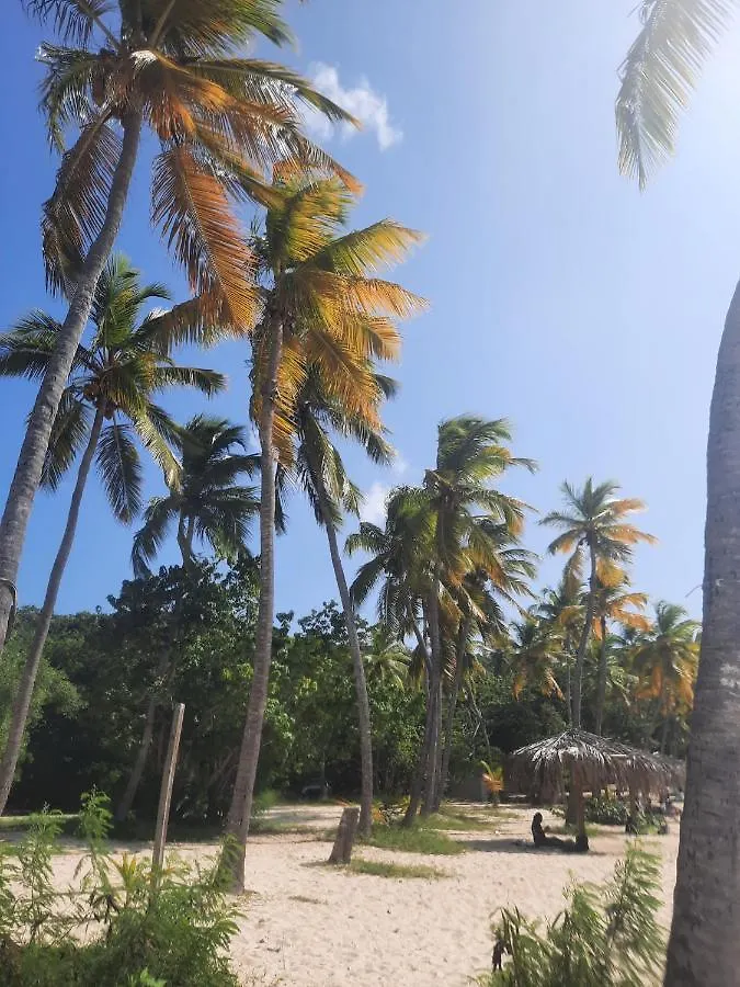Virgin Islands Campground Water Island Campsite