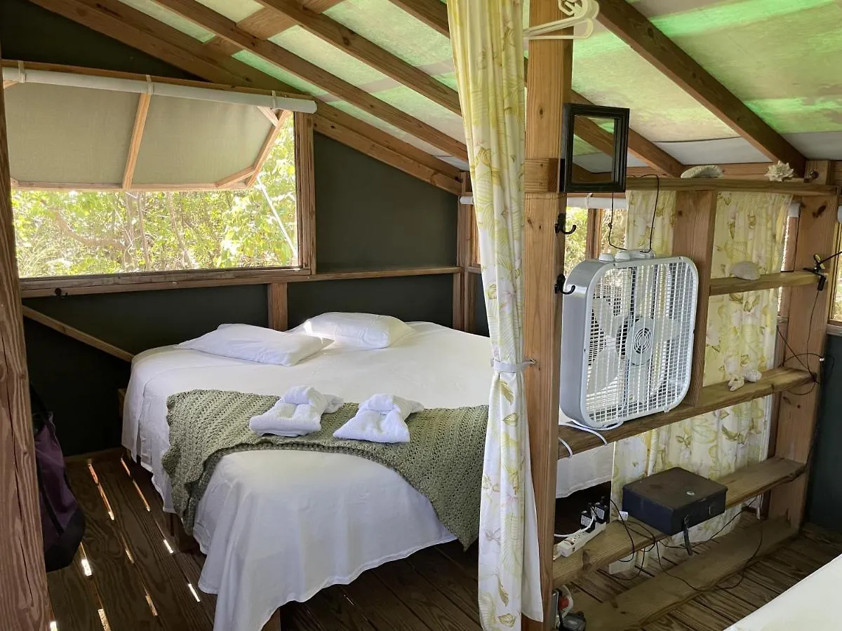 Virgin Islands Campground Water Island United States Virgin Islands
