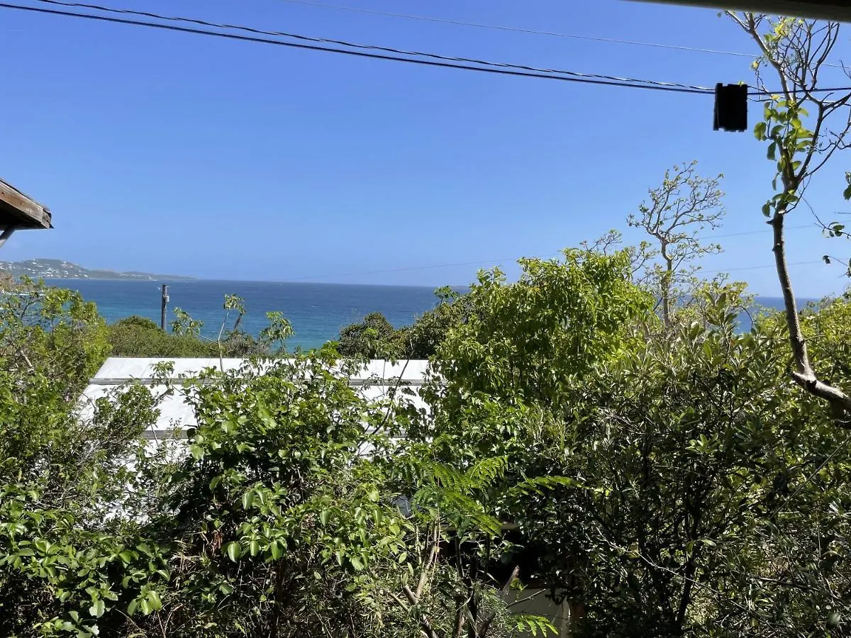 Campsite Virgin Islands Campground Water Island