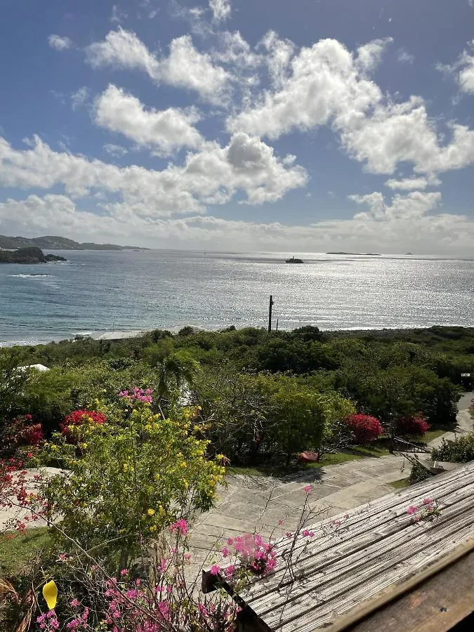 Virgin Islands Campground Water Island Campsite
