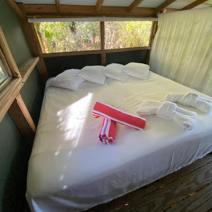 Campsite Virgin Islands Campground Water Island