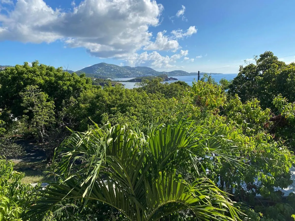 Virgin Islands Campground Water Island Campsite