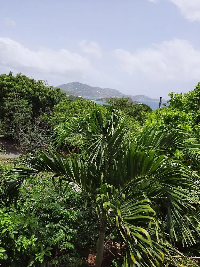Virgin Islands Campground Water Island