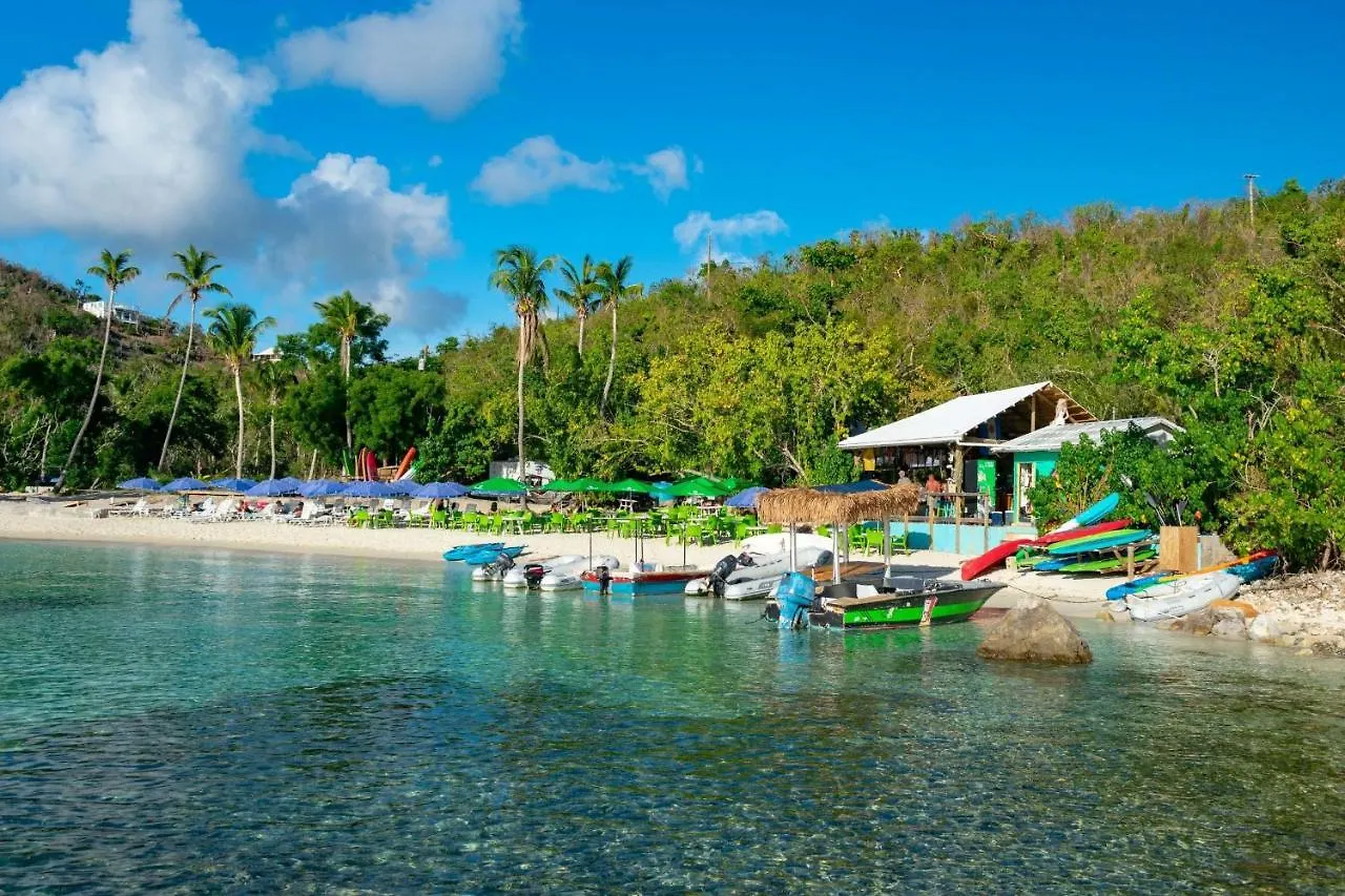 Campsite Virgin Islands Campground Water Island