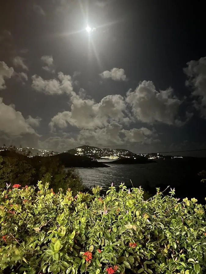 Campsite Virgin Islands Campground Water Island
