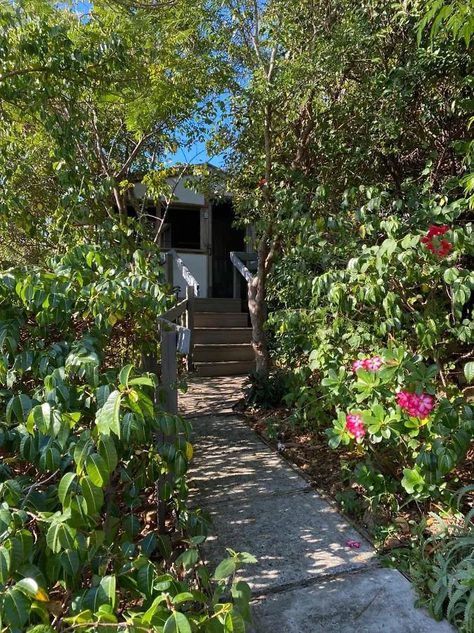 ** Campsite Virgin Islands Campground Water Island United States Virgin Islands